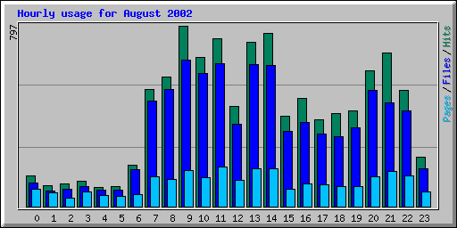 Hourly usage for August 2002